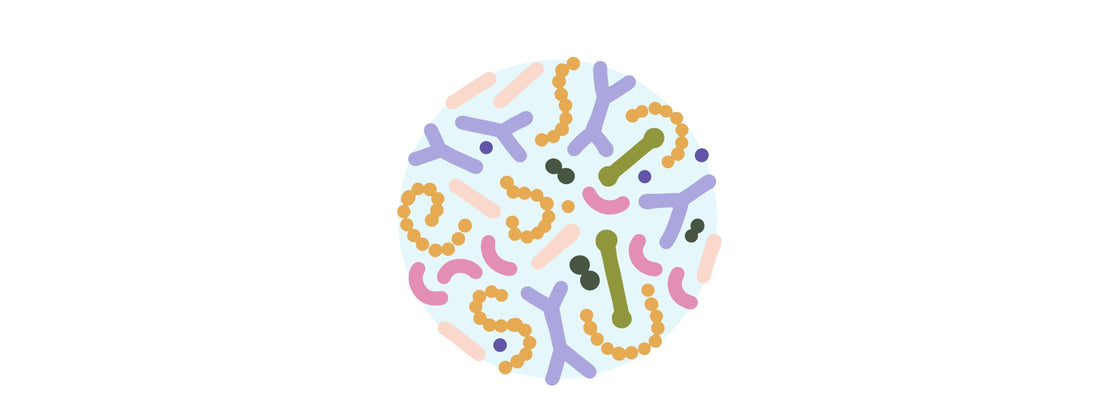 Why I ditched my $300 probiotic regimen