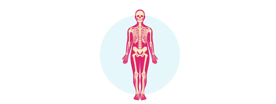 Your blueprint for lifelong skeletal strength