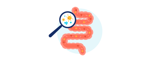 Tributyrin & the gut-health revolution