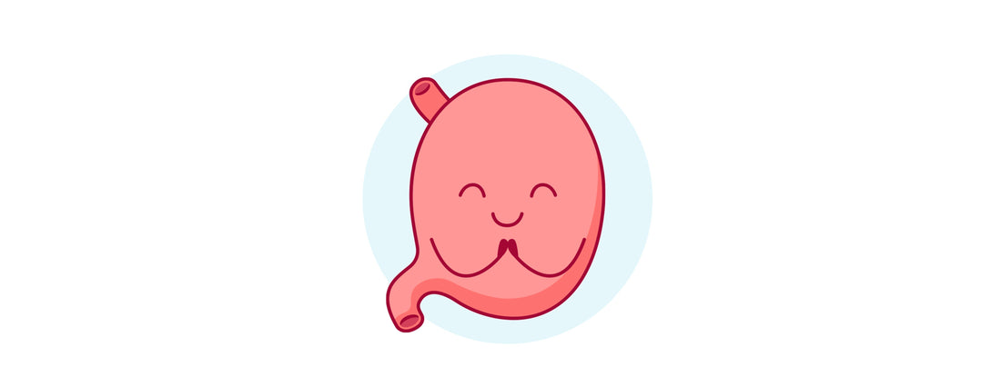 Why tributyrin is your gut’s new best friend
